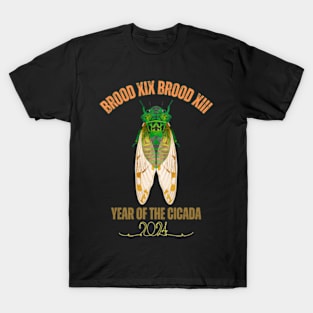 Cicada Lover Brood XIX Brood XIII Year Of The Cicada 2024 T-Shirt